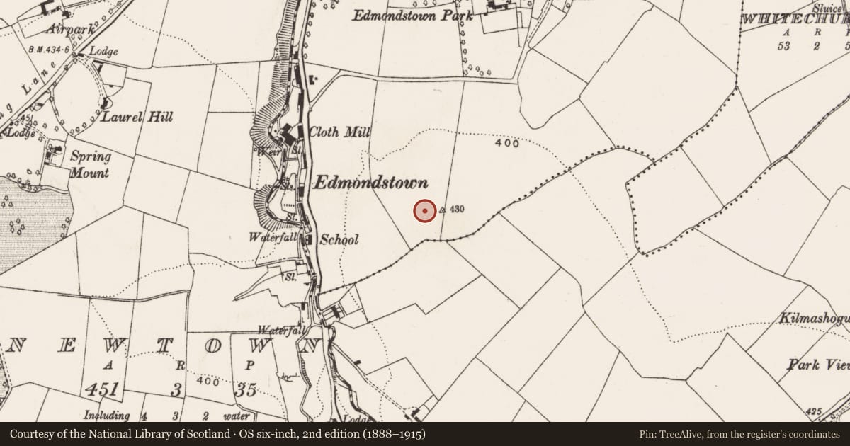 Ordnance Survey six-inch map, 2nd edition (1888–1915) covering the location of Flat cemetery, Edmondstown, County Dublin, with a pin at the register's coordinates