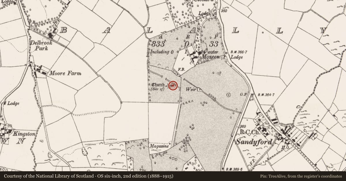 Ordnance Survey six-inch map, 2nd edition (1888–1915) covering the location of Ecclesiastical enclosure, Balally, County Dublin, with a pin at the register's coordinates