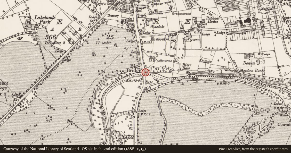 Ordnance Survey six-inch map, 2nd edition (1888–1915) covering the location of Water mill - unclassified, County Dublin, with a pin at the register's coordinates