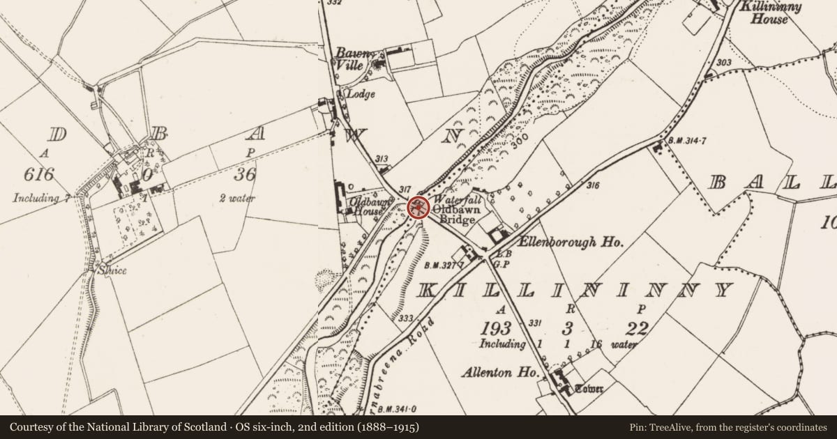 Ordnance Survey six-inch map, 2nd edition (1888–1915) covering the location of Bridge, Oldbawn, County Dublin, with a pin at the register's coordinates