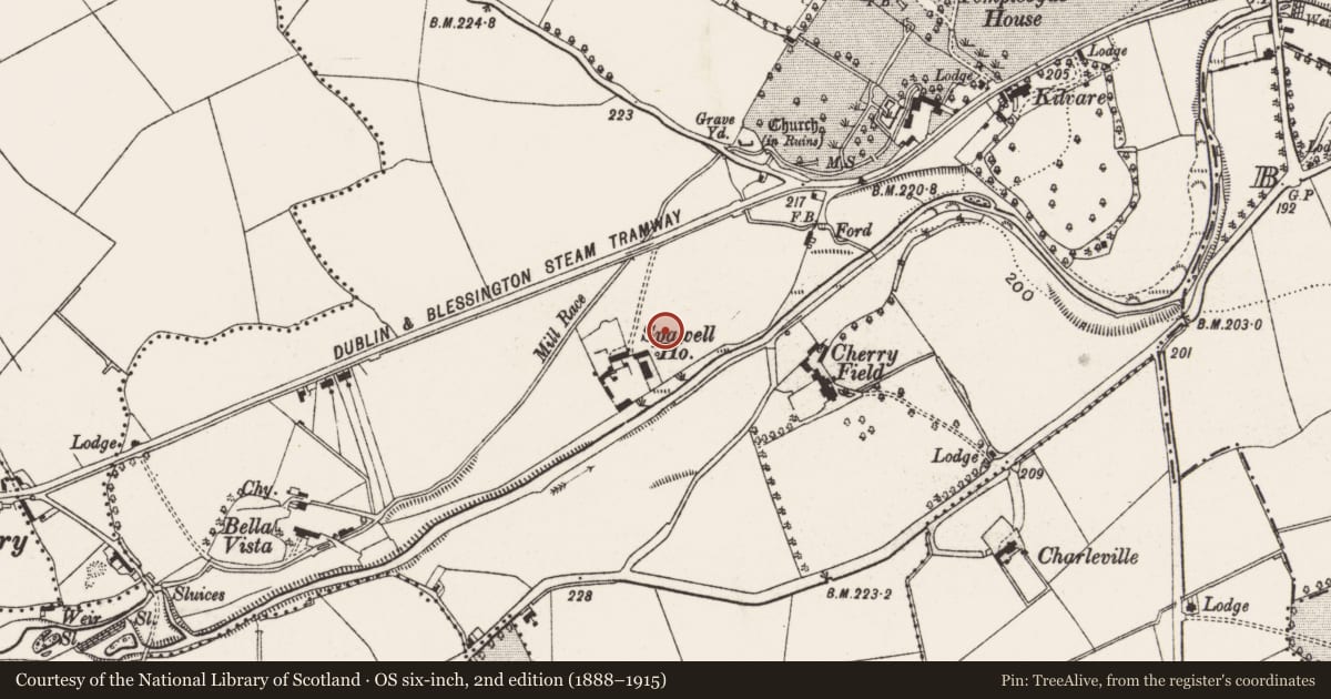 Ordnance Survey six-inch map, 2nd edition (1888–1915) covering the location of Well, Templeogue, County Dublin, with a pin at the register's coordinates
