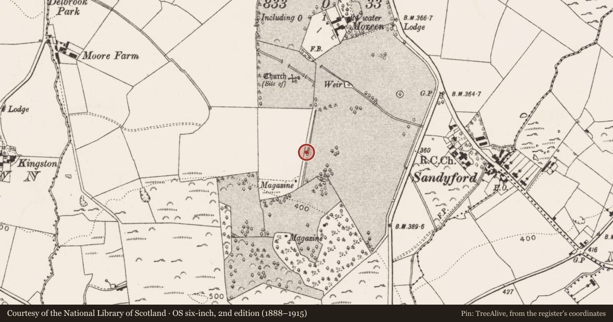 Ordnance Survey six-inch map, 2nd edition (1888–1915) covering the location of Linear earthwork, Balally, County Dublin, with a pin at the register's coordinates
