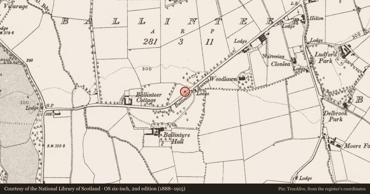 Ordnance Survey six-inch map, 2nd edition (1888–1915) covering the location of Cupmarked stone (present location), Ballinteer, County Dublin, with a pin at the register's coordinates