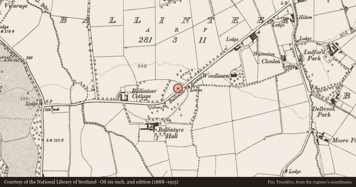 Ordnance Survey six-inch map, 2nd edition (1888–1915) covering the location of Cupmarked stone (present location), Ballinteer, County Dublin, with a pin at the register's coordinates