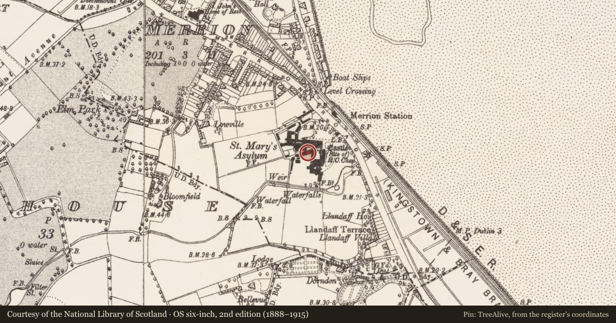 Ordnance Survey six-inch map, 2nd edition (1888–1915) covering the location of Armorial plaque, County Dublin, with a pin at the register's coordinates