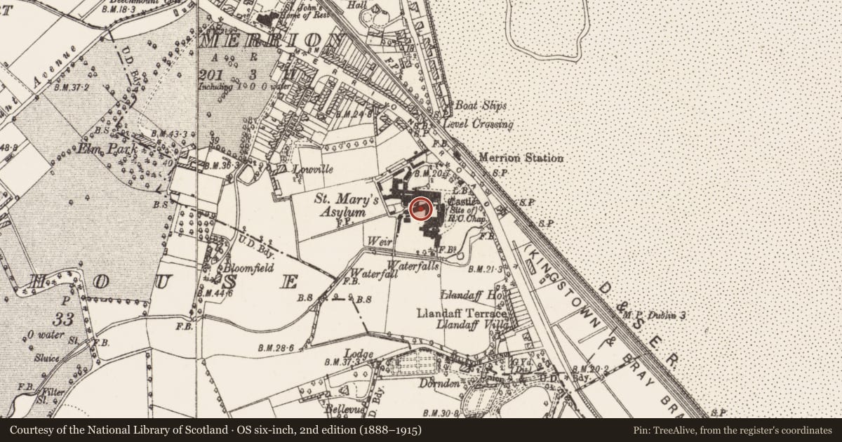 Ordnance Survey six-inch map, 2nd edition (1888–1915) covering the location of Stone head, County Dublin, with a pin at the register's coordinates