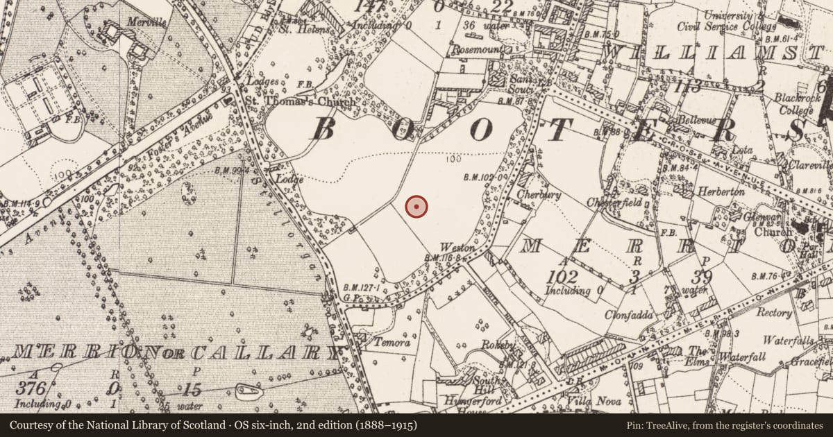 Ordnance Survey six-inch map, 2nd edition (1888–1915) covering the location of Designed landscape - tree-ring, Booterstown, County Dublin, with a pin at the register's coordinates