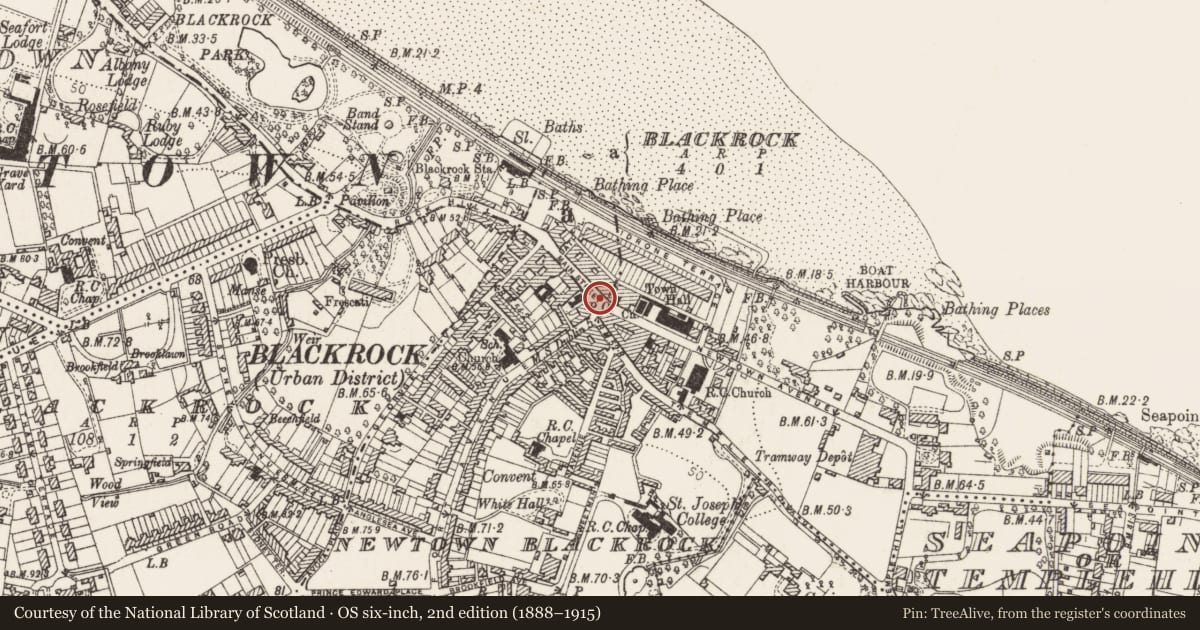 Ordnance Survey six-inch map, 2nd edition (1888–1915) covering the location of Cross, Newtown, Blackrock, County Dublin, with a pin at the register's coordinates