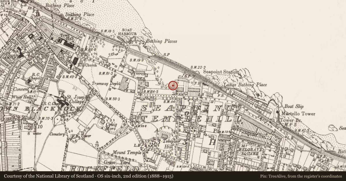Ordnance Survey six-inch map, 2nd edition (1888–1915) covering the location of Ritual site - holy well, Newtown, Blackrock, County Dublin, with a pin at the register's coordinates