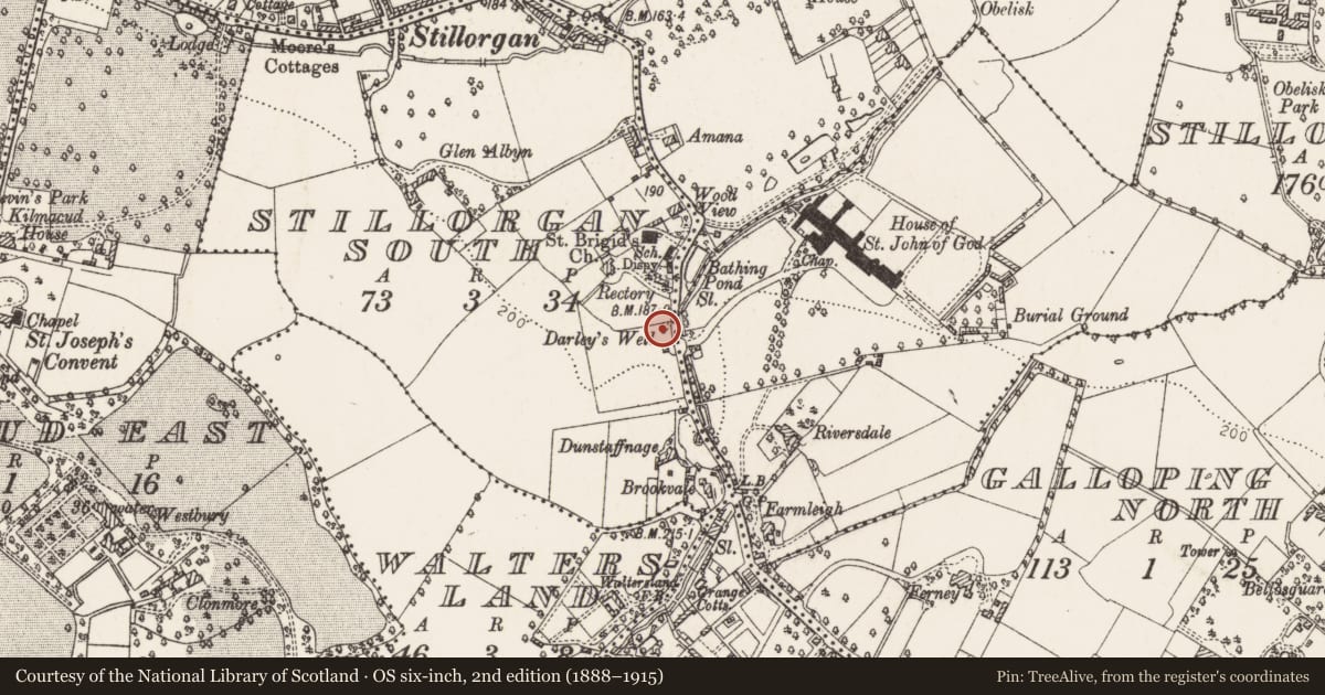 Ordnance Survey six-inch map, 2nd edition (1888–1915) covering the location of Well, Stillorgan South, County Dublin, with a pin at the register's coordinates