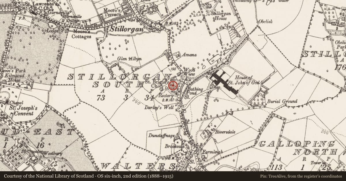 Ordnance Survey six-inch map, 2nd edition (1888–1915) covering the location of Ecclesiastical enclosure, Stillorgan South, County Dublin, with a pin at the register's coordinates