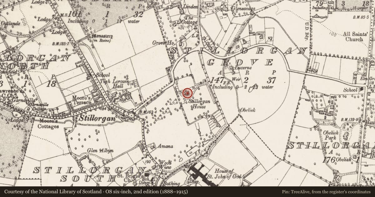 Ordnance Survey six-inch map, 2nd edition (1888–1915) covering the location of House - medieval, Stillorgan Grove, County Dublin, with a pin at the register's coordinates