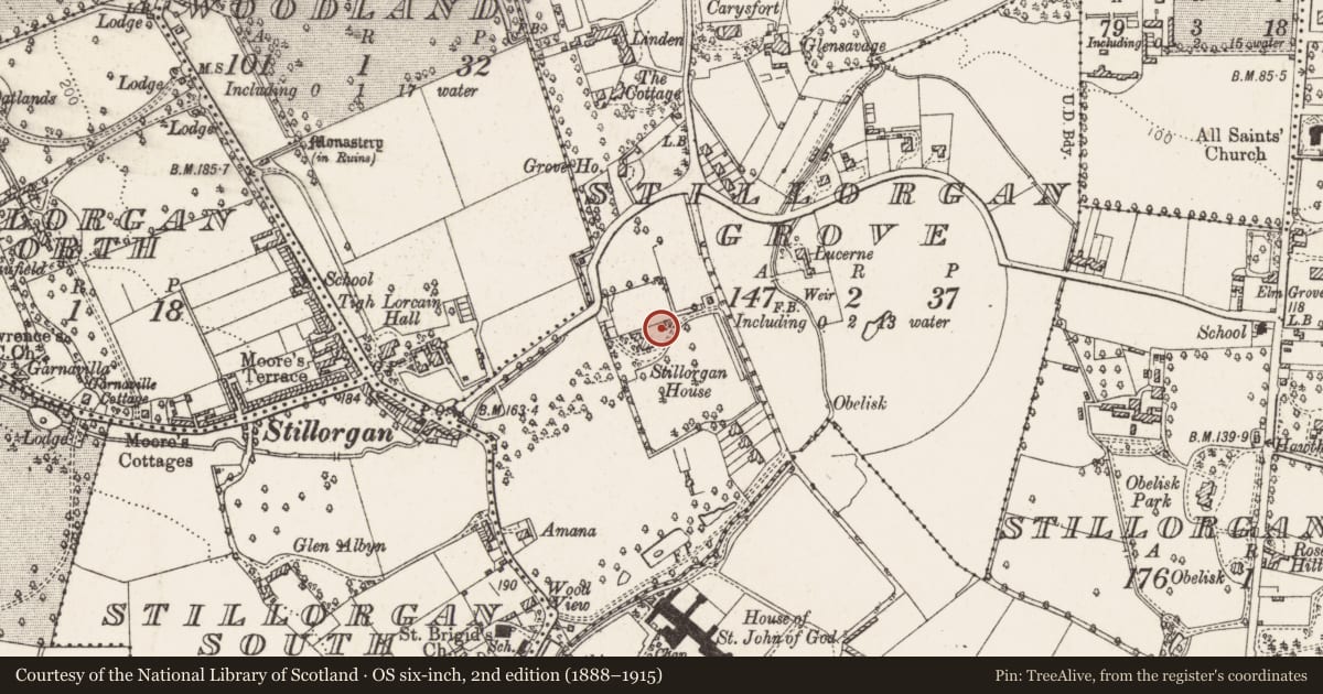 Ordnance Survey six-inch map, 2nd edition (1888–1915) covering the location of Flat cemetery, Stillorgan Grove, County Dublin, with a pin at the register's coordinates
