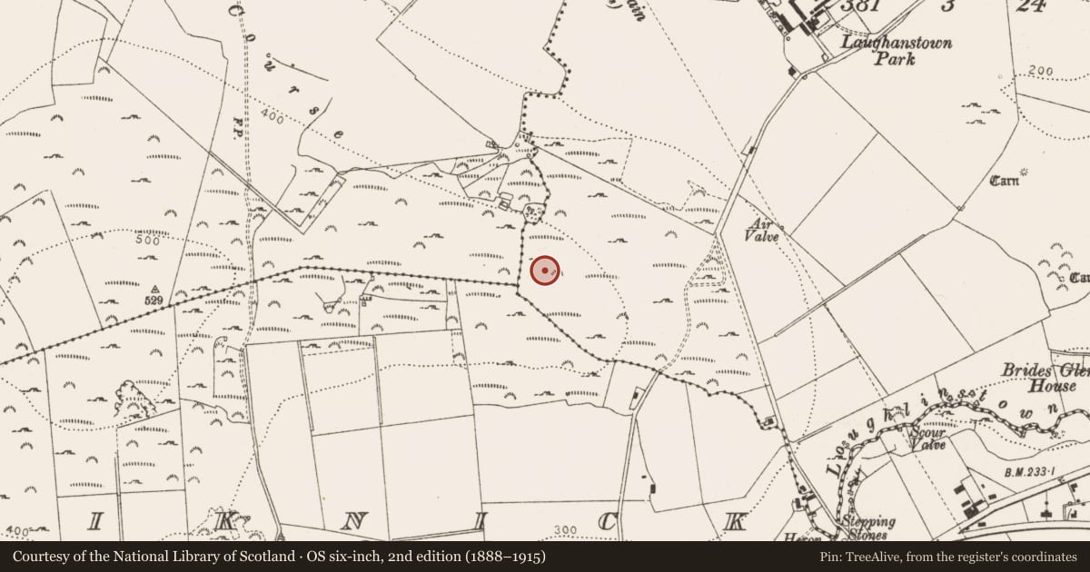 Ordnance Survey six-inch map, 2nd edition (1888–1915) covering the location of Cross-inscribed stone, Kill of The Grange, County Dublin, with a pin at the register's coordinates