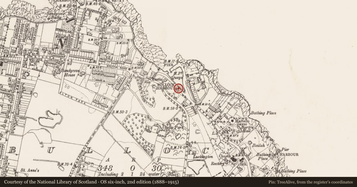 Ordnance Survey six-inch map, 2nd edition (1888–1915) covering the location of Settlement cluster, Bullock, County Dublin, with a pin at the register's coordinates
