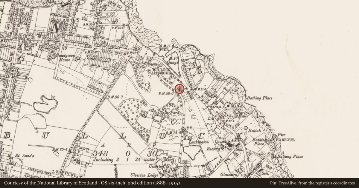 Ordnance Survey six-inch map, 2nd edition (1888–1915) covering the location of Town defences, Bullock, County Dublin, with a pin at the register's coordinates