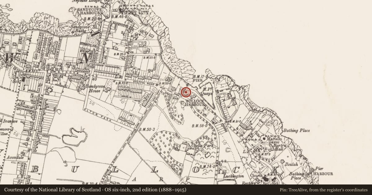 Ordnance Survey six-inch map, 2nd edition (1888–1915) covering the location of Well, Bullock, County Dublin, with a pin at the register's coordinates
