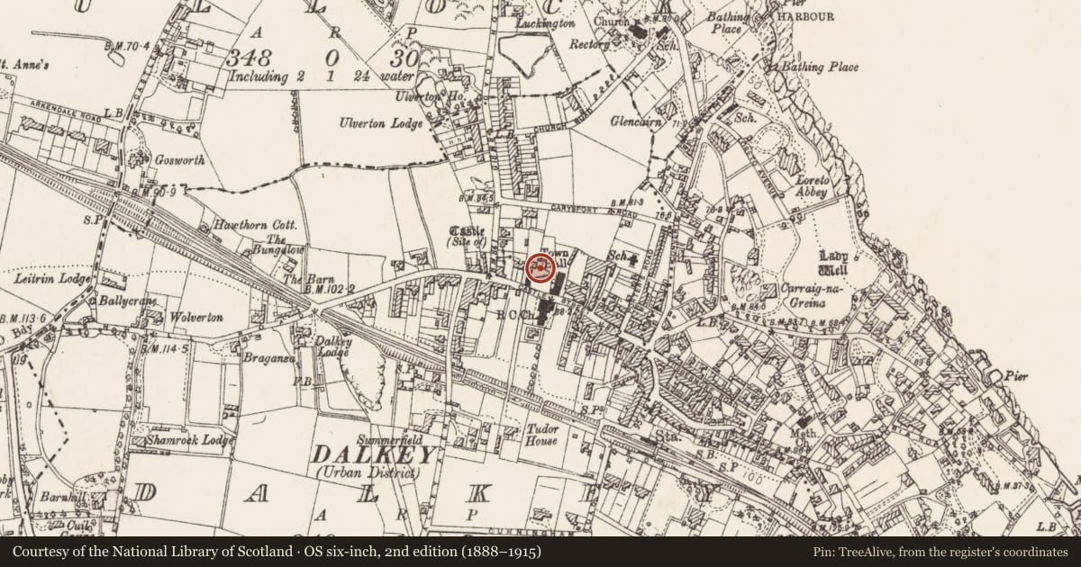 Ordnance Survey six-inch map, 2nd edition (1888–1915) covering the location of Graveslab, Dalkey, County Dublin, with a pin at the register's coordinates
