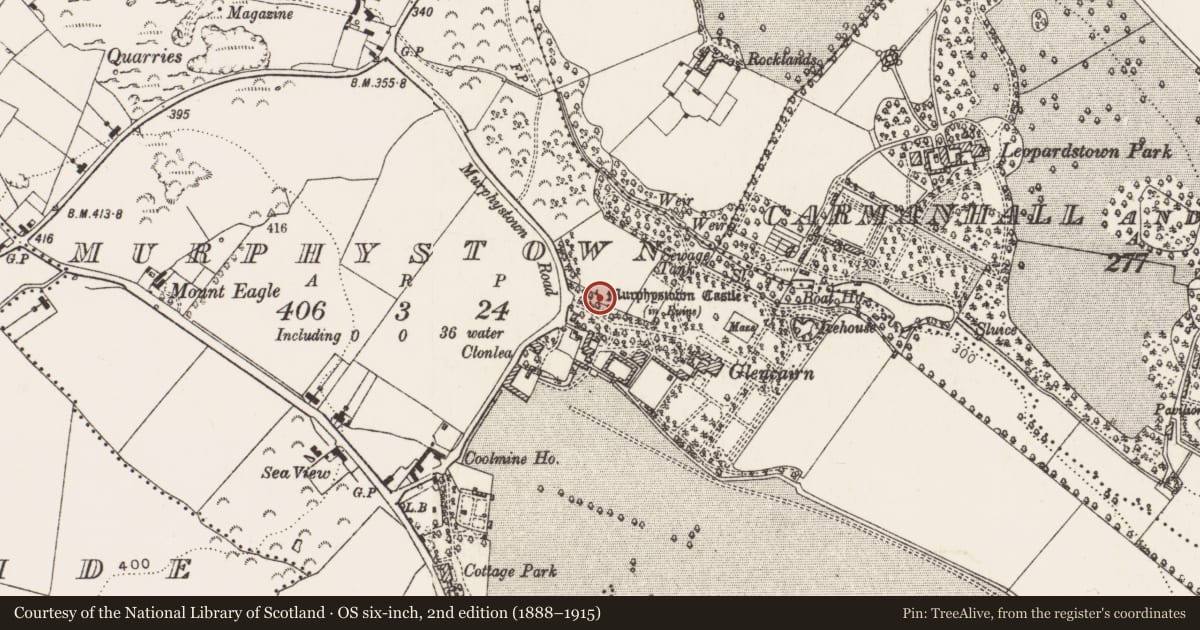 Ordnance Survey six-inch map, 2nd edition (1888–1915) covering the location of Castle - tower house, Murphystown, County Dublin, with a pin at the register's coordinates