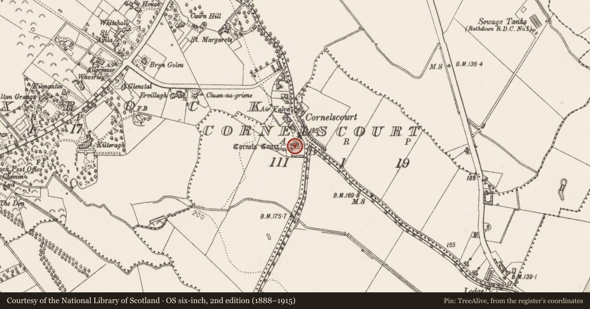 Ordnance Survey six-inch map, 2nd edition (1888–1915) covering the location of Castle - tower house, Cornelscourt, County Dublin, with a pin at the register's coordinates