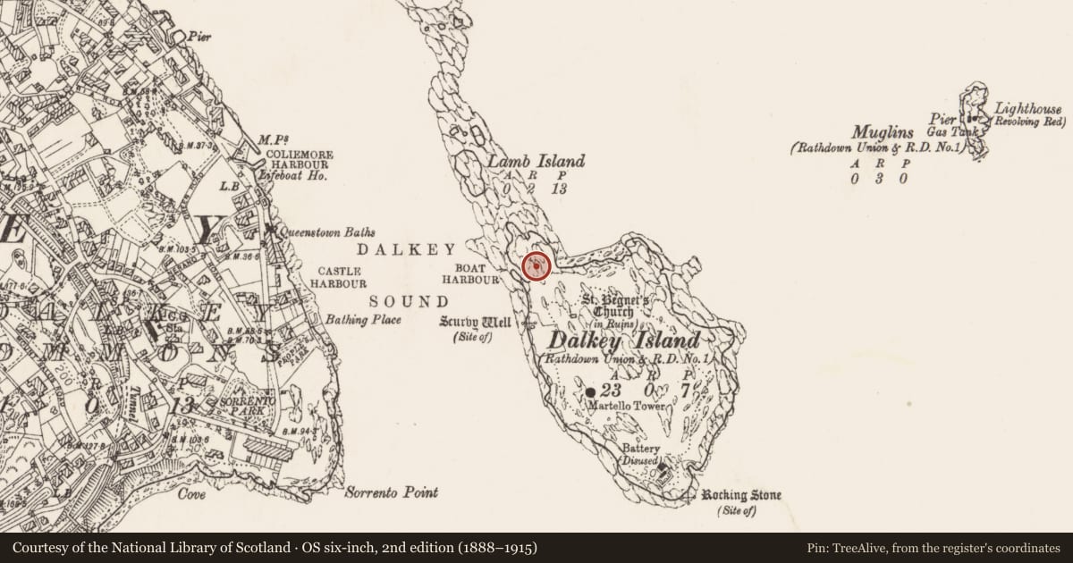 Ordnance Survey six-inch map, 2nd edition (1888–1915) covering the location of Promontory fort - coastal, Dalkey Island, County Dublin, with a pin at the register's coordinates