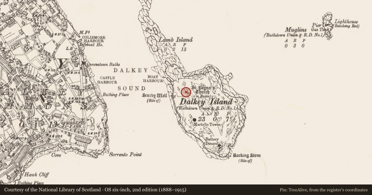 Ordnance Survey six-inch map, 2nd edition (1888–1915) covering the location of Cross-inscribed stone, Dalkey Island, County Dublin, with a pin at the register's coordinates