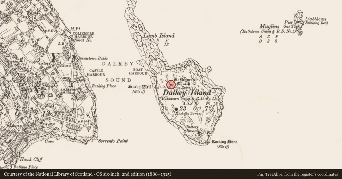 Ordnance Survey six-inch map, 2nd edition (1888–1915) covering the location of Field system, Dalkey Island, County Dublin, with a pin at the register's coordinates
