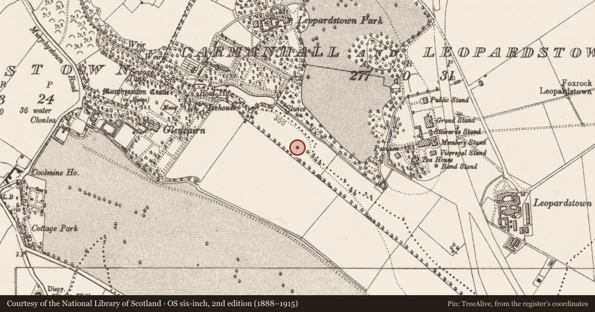 Ordnance Survey six-inch map, 2nd edition (1888–1915) covering the location of Fulacht fia, Carmanhall And Leopardstown, Murphystown, County Dublin, with a pin at the register's coordinates