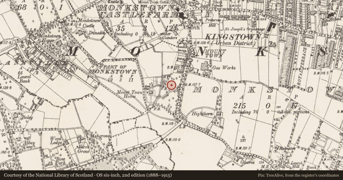Ordnance Survey six-inch map, 2nd edition (1888–1915) covering the location of Burial, Monkstown Castlefarm, County Dublin, with a pin at the register's coordinates