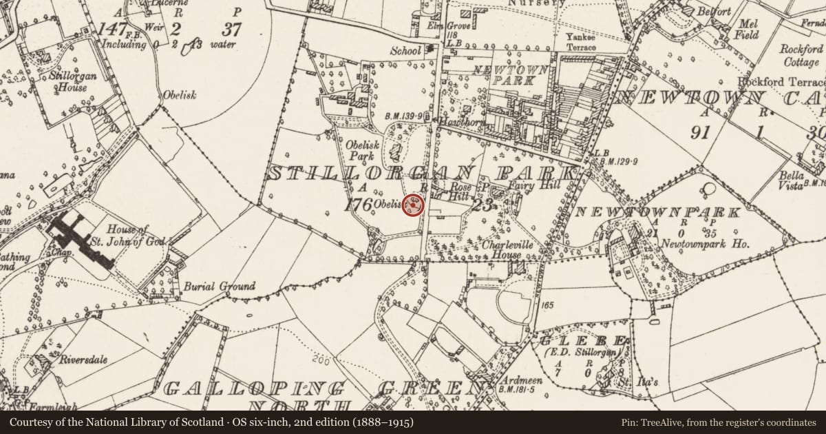 Ordnance Survey six-inch map, 2nd edition (1888–1915) covering the location of Cist, Stillorgan Park, County Dublin, with a pin at the register's coordinates