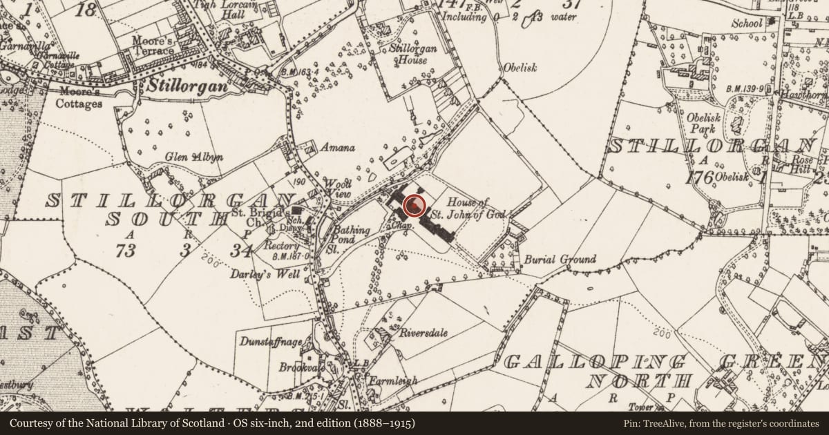 Ordnance Survey six-inch map, 2nd edition (1888–1915) covering the location of Castle - unclassified, Stillorgan Park, County Dublin, with a pin at the register's coordinates