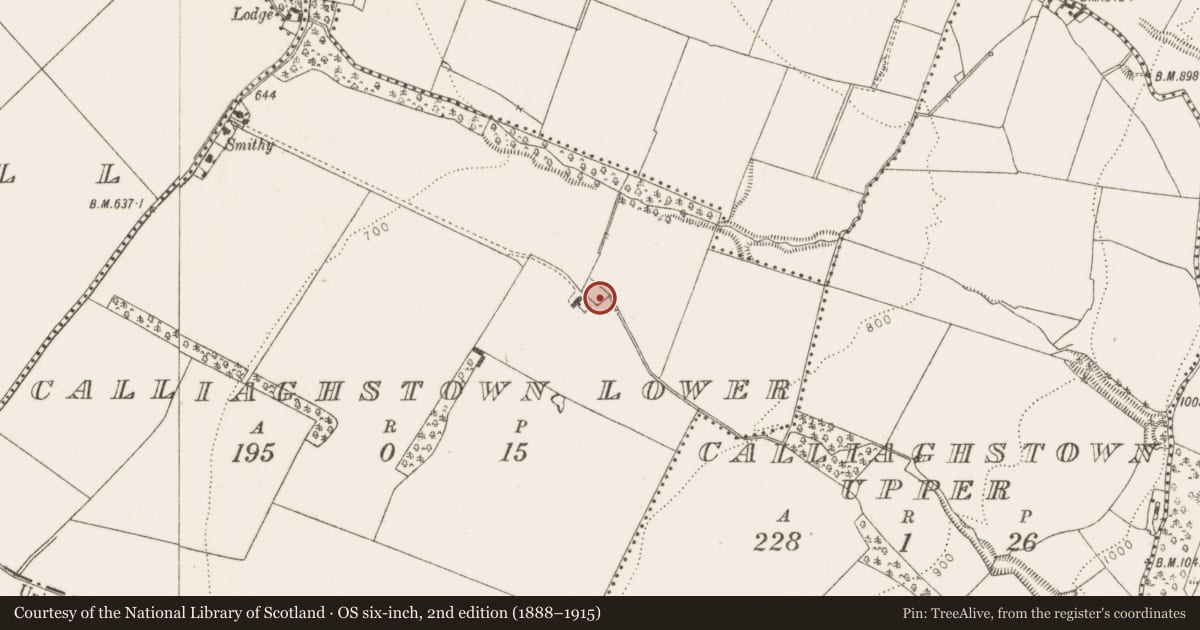 Ordnance Survey six-inch map, 2nd edition (1888–1915) covering the location of Burial ground, Calliaghstown Lower, County Dublin, with a pin at the register's coordinates