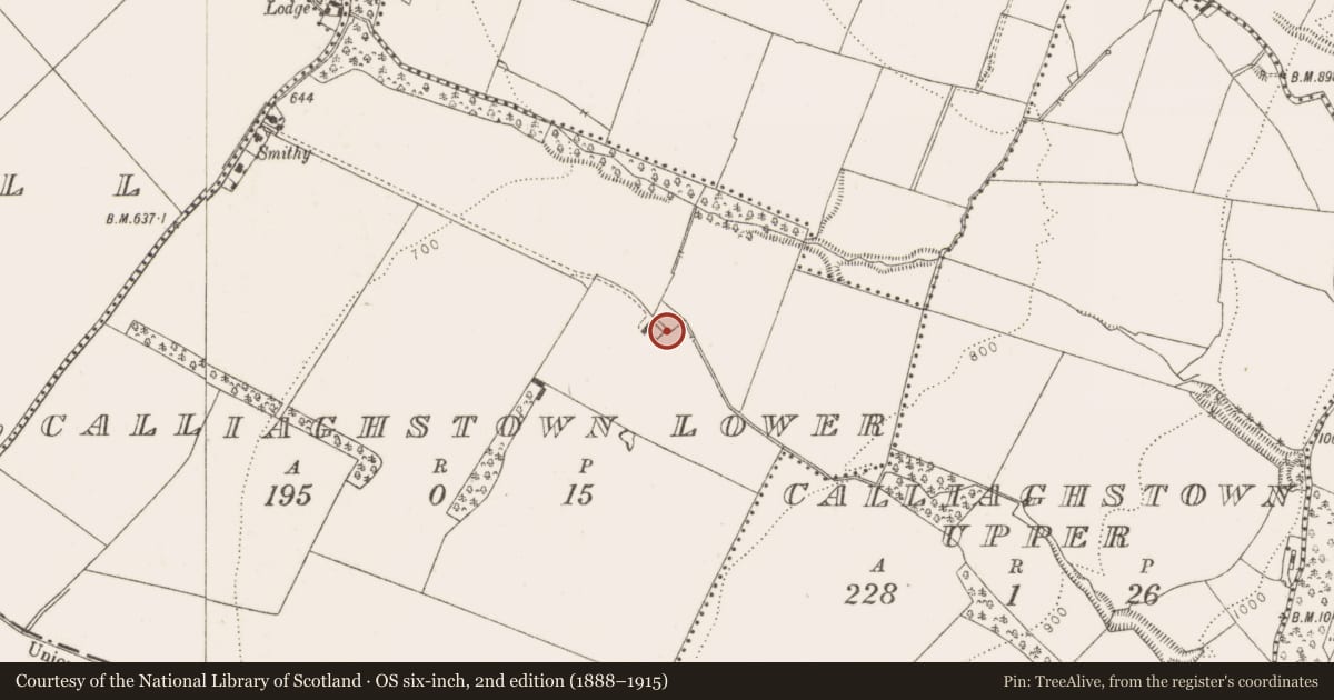 Ordnance Survey six-inch map, 2nd edition (1888–1915) covering the location of Font, Calliaghstown Lower, County Dublin, with a pin at the register's coordinates