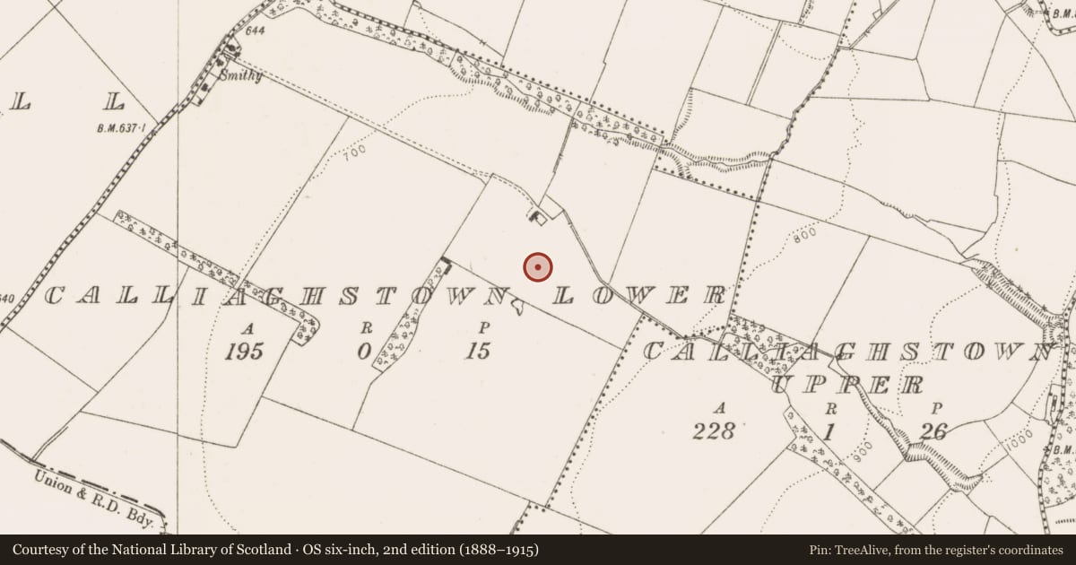 Ordnance Survey six-inch map, 2nd edition (1888–1915) covering the location of Religious house - unclassified, Calliaghstown Lower, County Dublin, with a pin at the register's coordinates