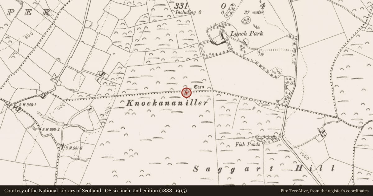 Ordnance Survey six-inch map, 2nd edition (1888–1915) covering the location of Megalithic tomb - passage tomb, Slievethoul, County Dublin, with a pin at the register's coordinates