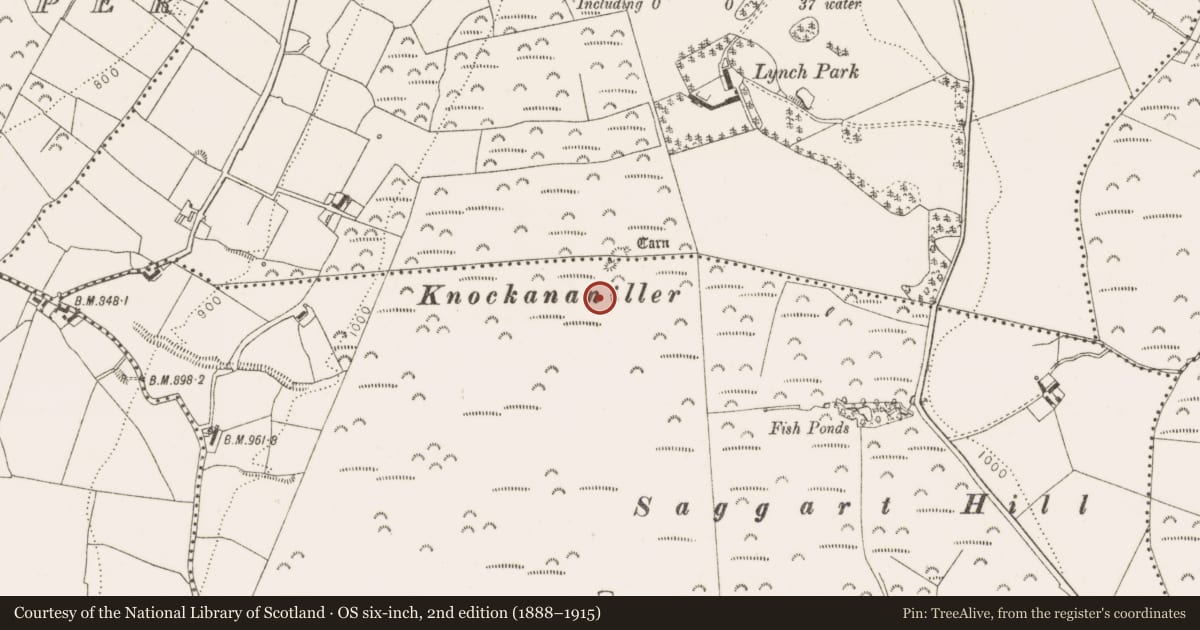 Ordnance Survey six-inch map, 2nd edition (1888–1915) covering the location of Barrow - ring-barrow, Slievethoul, County Dublin, with a pin at the register's coordinates