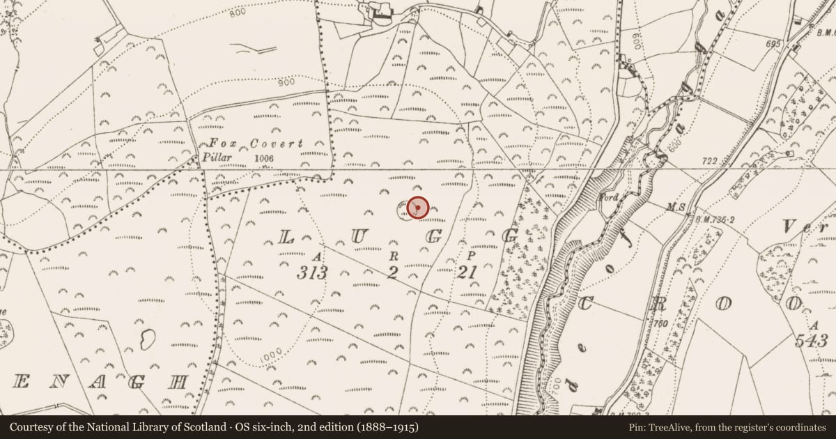Ordnance Survey six-inch map, 2nd edition (1888–1915) covering the location of Barrow - ring-barrow, Lugg, County Dublin, with a pin at the register's coordinates