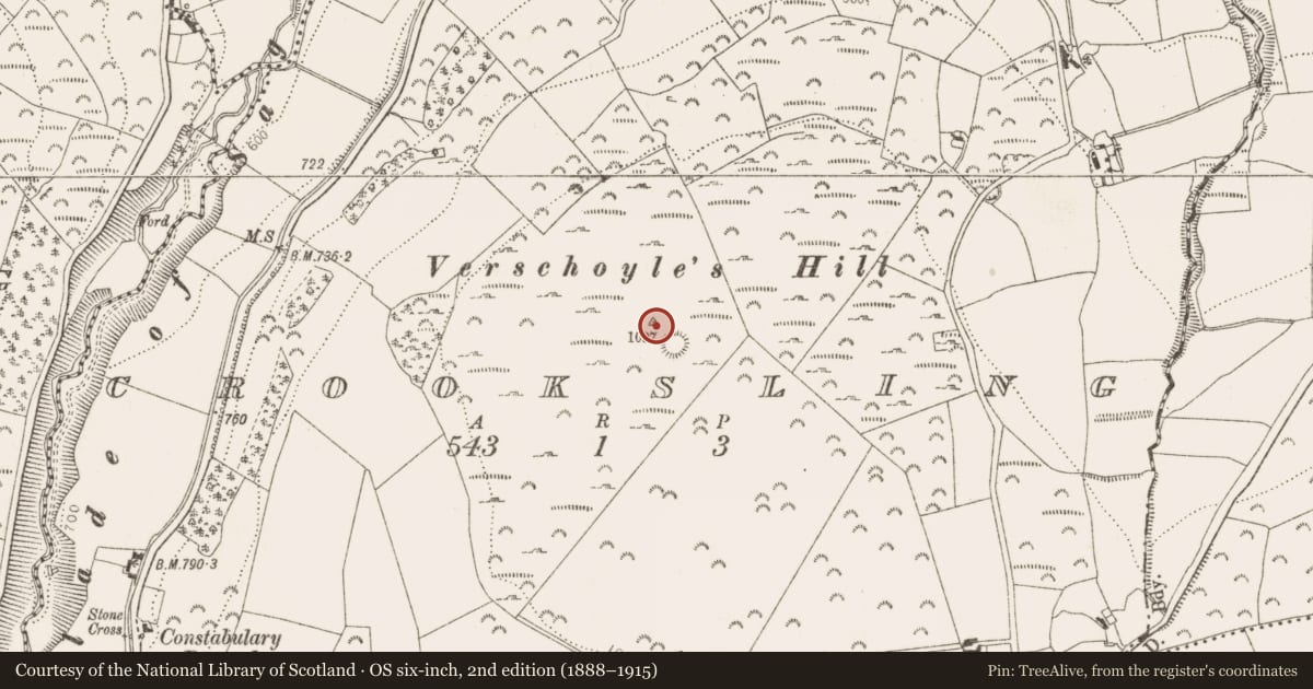 Ordnance Survey six-inch map, 2nd edition (1888–1915) covering the location of Barrow - ring-barrow, Crooksling, County Dublin, with a pin at the register's coordinates