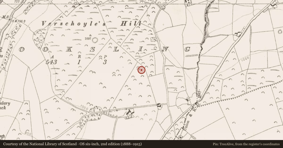 Ordnance Survey six-inch map, 2nd edition (1888–1915) covering the location of Barrow - ring-barrow, Crooksling, County Dublin, with a pin at the register's coordinates