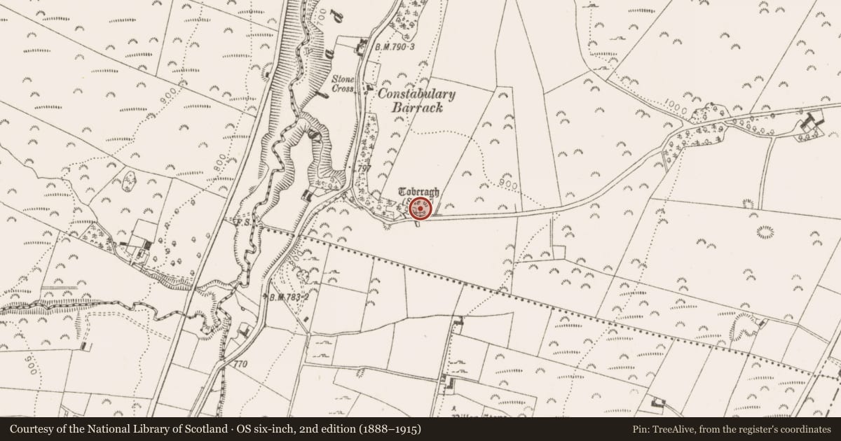 Ordnance Survey six-inch map, 2nd edition (1888–1915) covering the location of Ritual site - holy well, Crooksling, County Dublin, with a pin at the register's coordinates