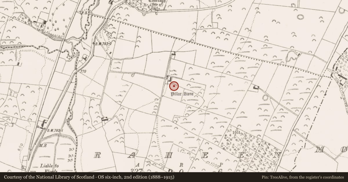 Ordnance Survey six-inch map, 2nd edition (1888–1915) covering the location of Standing stone, Raheen, County Dublin, with a pin at the register's coordinates
