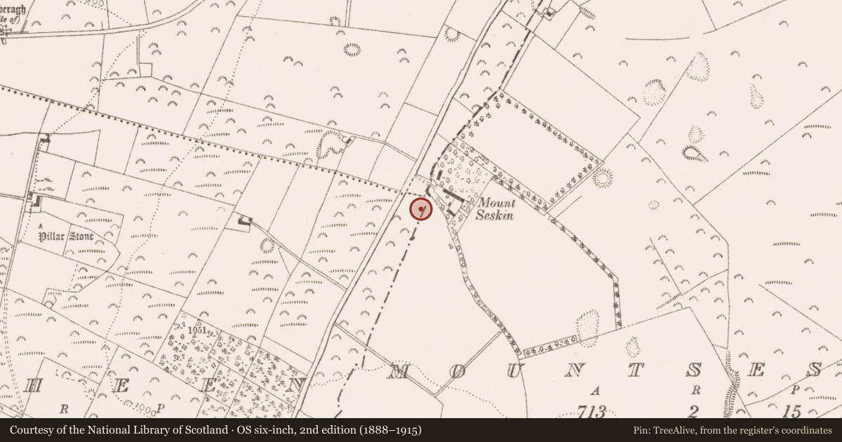 Ordnance Survey six-inch map, 2nd edition (1888–1915) covering the location of Mound, Raheen, County Dublin, with a pin at the register's coordinates