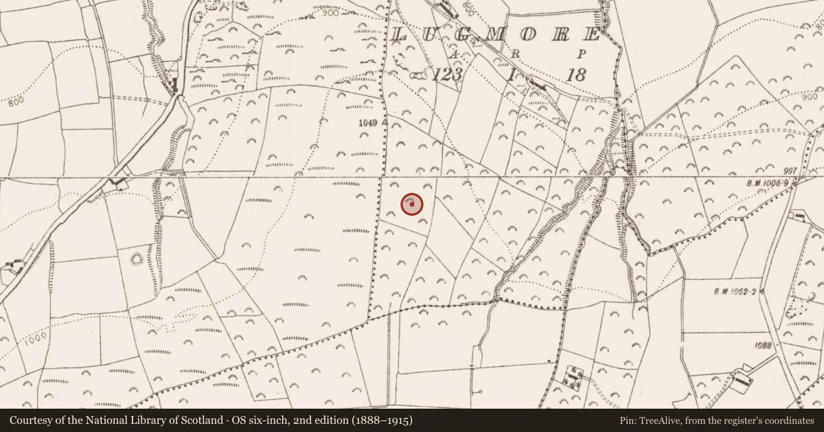 Ordnance Survey six-inch map, 2nd edition (1888–1915) covering the location of Ring-ditch, Lugmore, County Dublin, with a pin at the register's coordinates