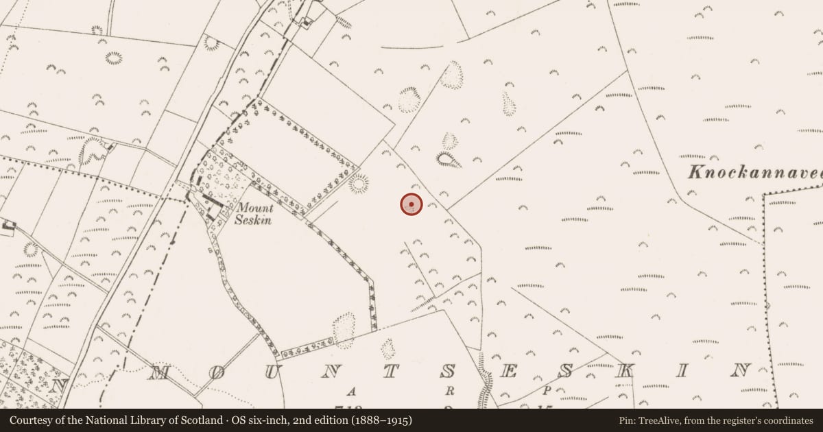 Ordnance Survey six-inch map, 2nd edition (1888–1915) covering the location of Mound, Mountseskin, County Dublin, with a pin at the register's coordinates