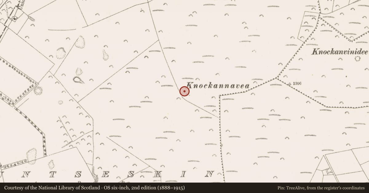 Ordnance Survey six-inch map, 2nd edition (1888–1915) covering the location of Cairn - unclassified, Mountseskin, County Dublin, with a pin at the register's coordinates