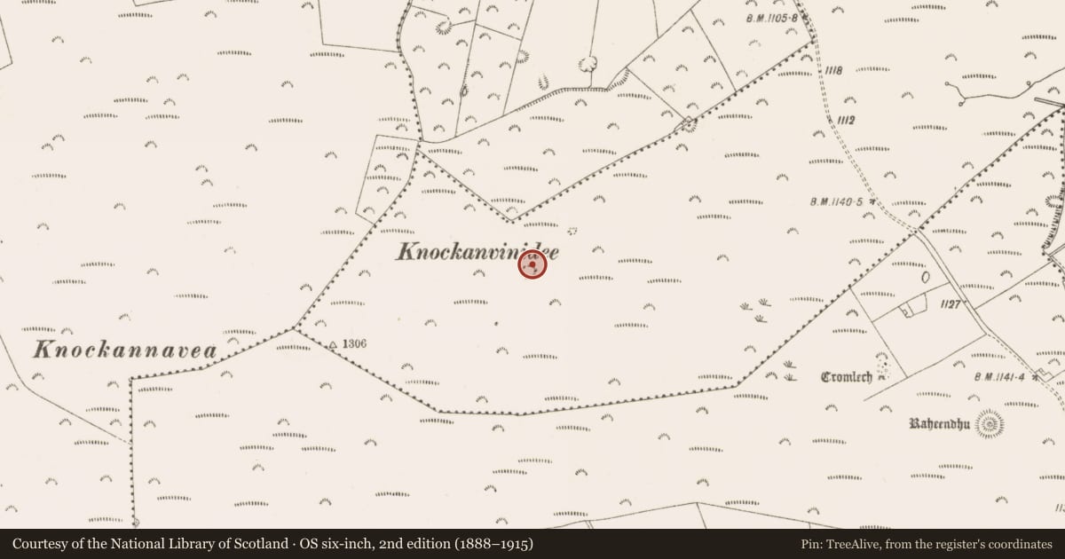 Ordnance Survey six-inch map, 2nd edition (1888–1915) covering the location of Cairn - unclassified, Ballymana, County Dublin, with a pin at the register's coordinates