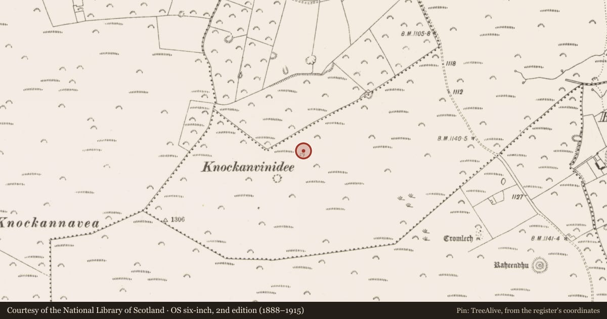 Ordnance Survey six-inch map, 2nd edition (1888–1915) covering the location of Stone circle, Ballymana, County Dublin, with a pin at the register's coordinates