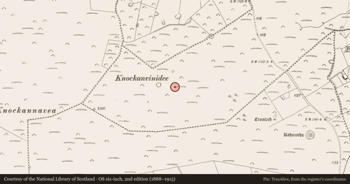 Ordnance Survey six-inch map, 2nd edition (1888–1915) covering the location of Mound, Ballymana, County Dublin, with a pin at the register's coordinates