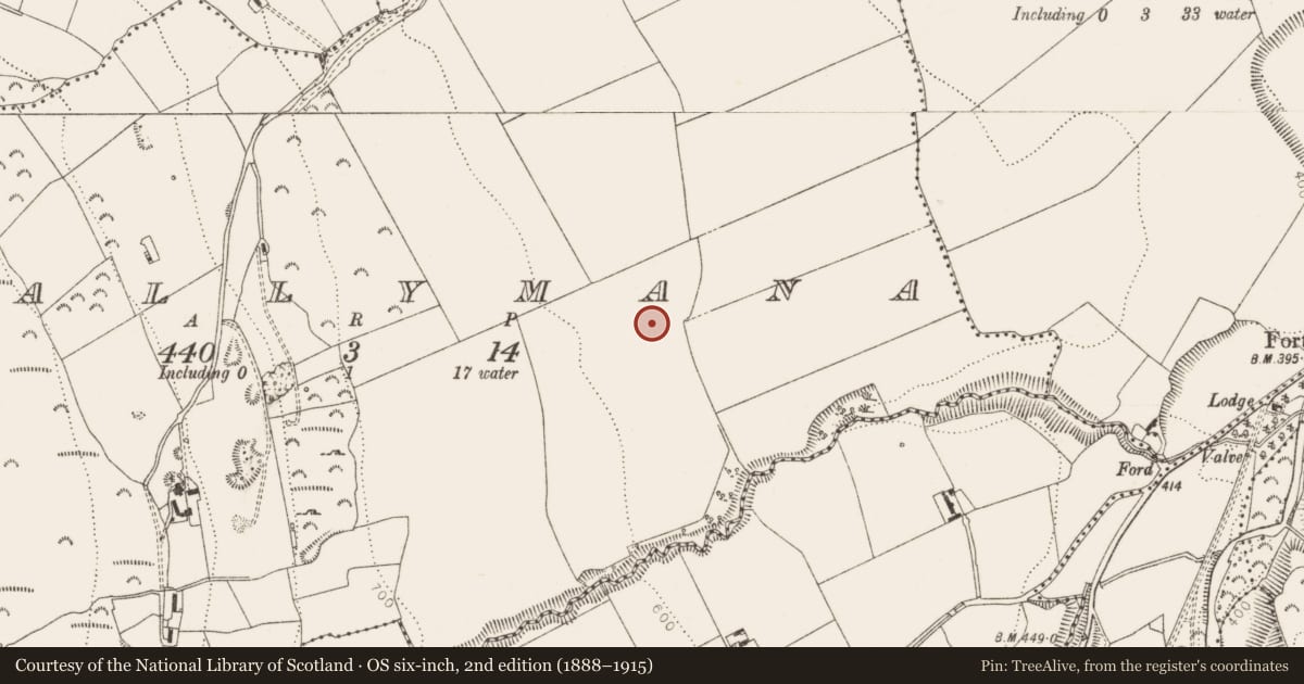 Ordnance Survey six-inch map, 2nd edition (1888–1915) covering the location of Enclosure, Ballymana, County Dublin, with a pin at the register's coordinates