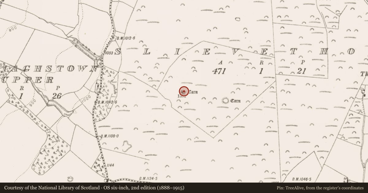 Ordnance Survey six-inch map, 2nd edition (1888–1915) covering the location of Megalithic tomb - passage tomb, Slievethoul, County Dublin, with a pin at the register's coordinates